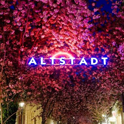 Altstadt Bonn bei Nacht - Dekokissen